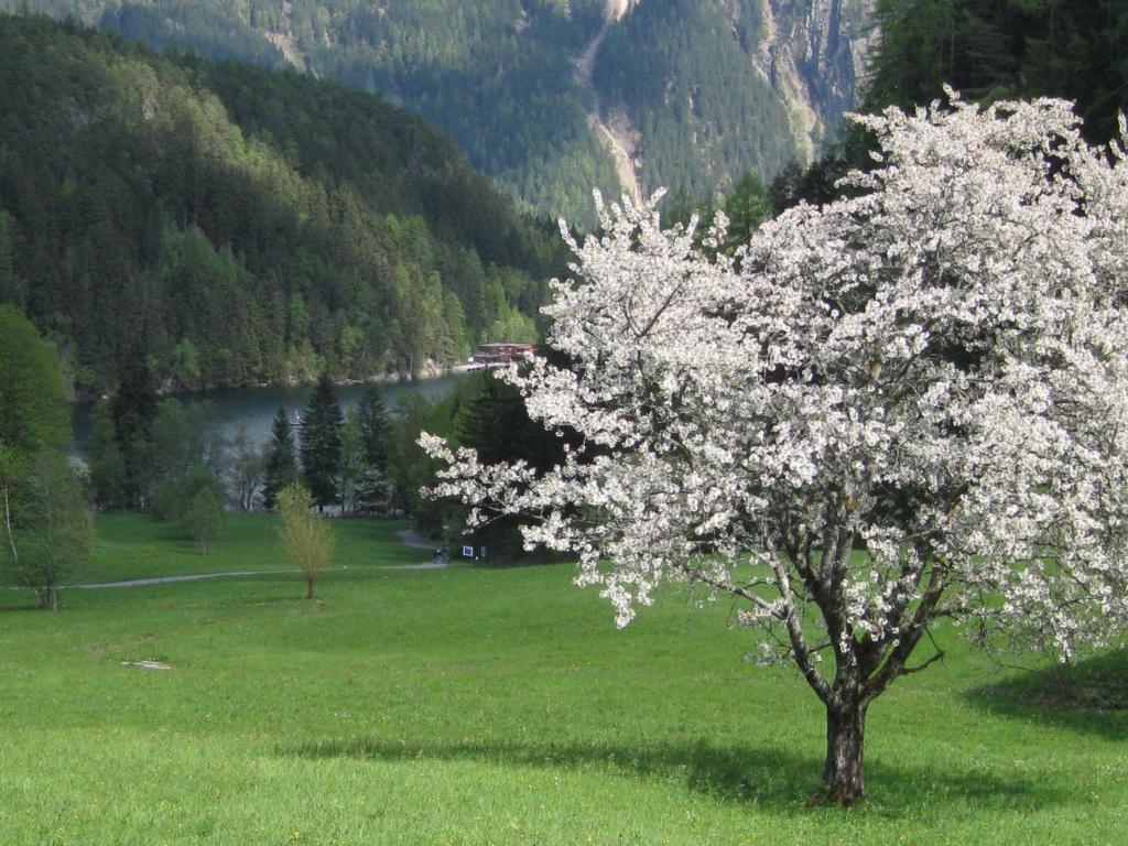 Gasthof Piburger See Hotel Oetz Bagian luar foto